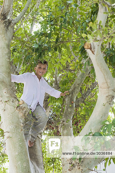 Blick auf einen Jungen  der auf einen Baum klettert.