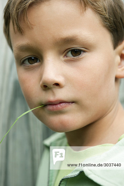 Junge hält einen Grashalm im Mund.