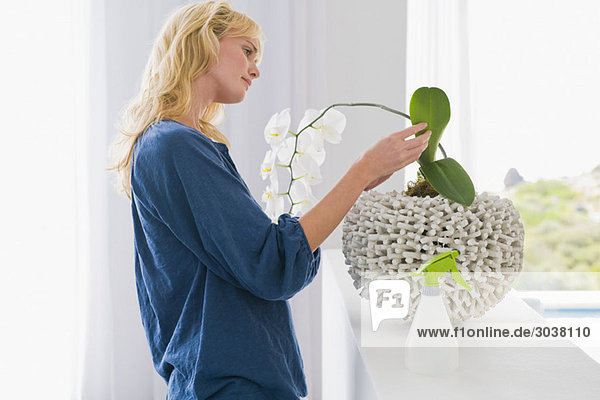 Woman looking at a houseplant