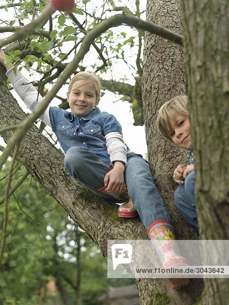 Junge und Mädchen im Baum