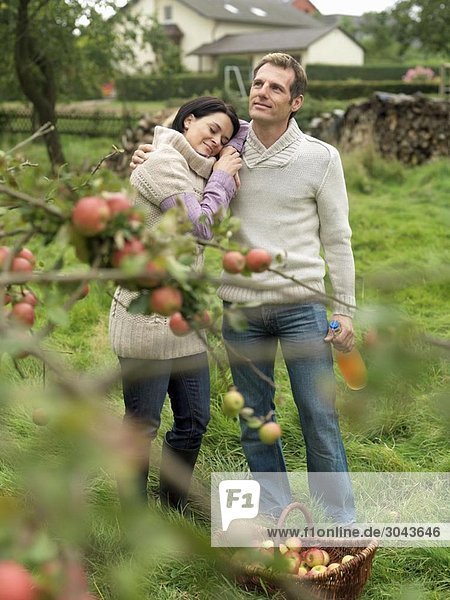 Mann und Frau pflücken Äpfel kuscheln