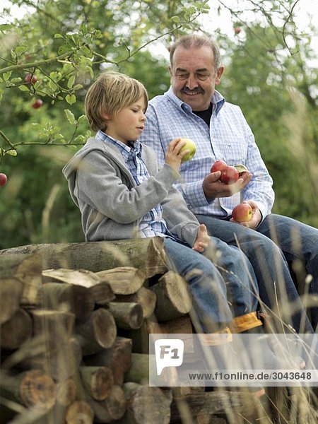 Mann und Junge mit Äpfeln  auf Baumstämmen sitzend