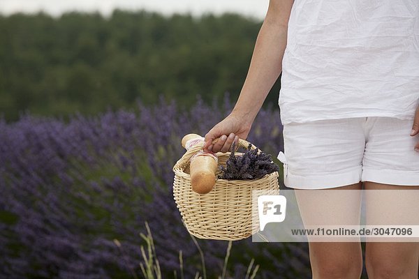 Frankreich Provence. Frau in Lavendelfeld