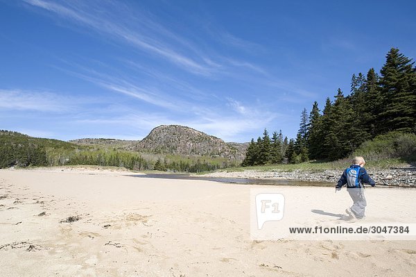 USA  Maine  Acadia National Park  Sand Beach