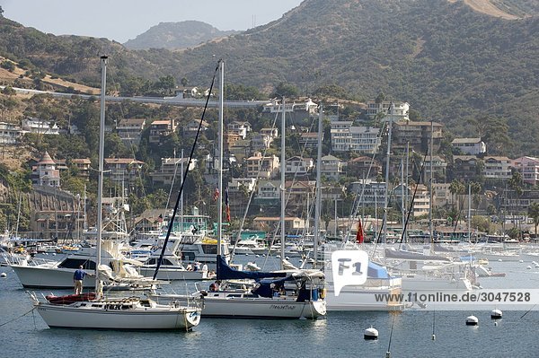 USA  California  Catalina Island  Avalon  Hafen
