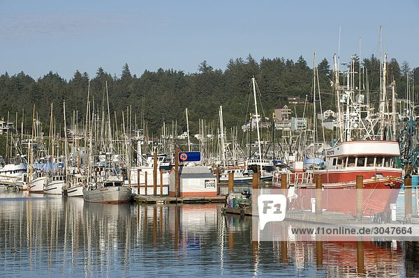 USA  Oregon  Newport  Hafen