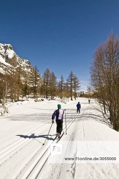 Italy  Aosta valley  Val Ferret  cross country skiing