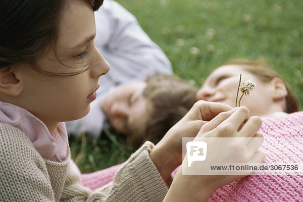 Mädchen betrachtet nachdenklich Kleeblume  Mutter und Bruder auf Gras im Hintergrund liegend