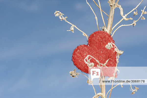 Herzförmiges Ornament auf getrocknetem Pflanzenstiel