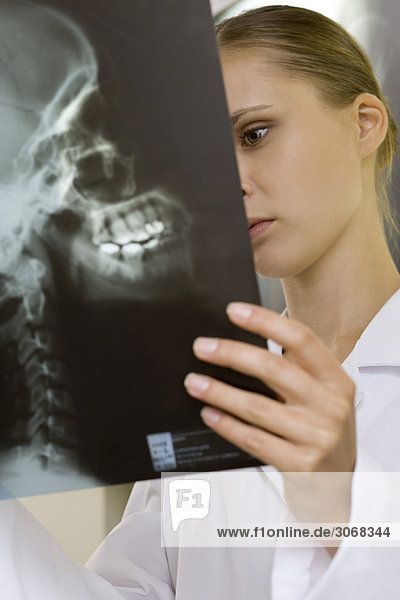 Doctor looking at x-ray  close-up