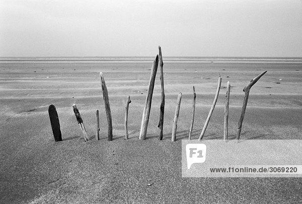 Holzpfosten im Sand am Strand geklebt  s/w