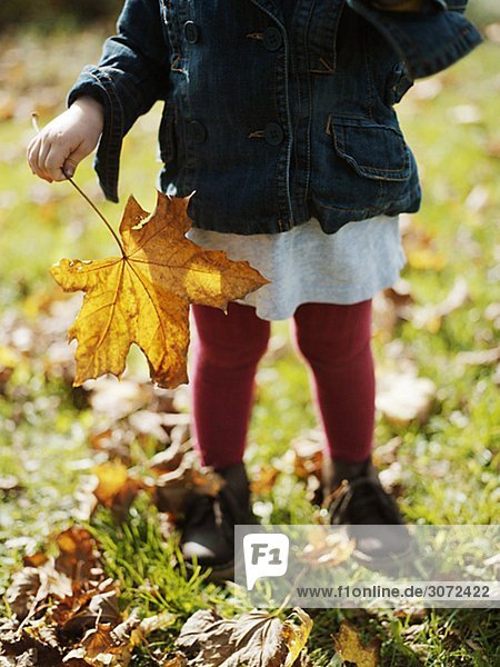 A girl holding a maple leaf Sweden