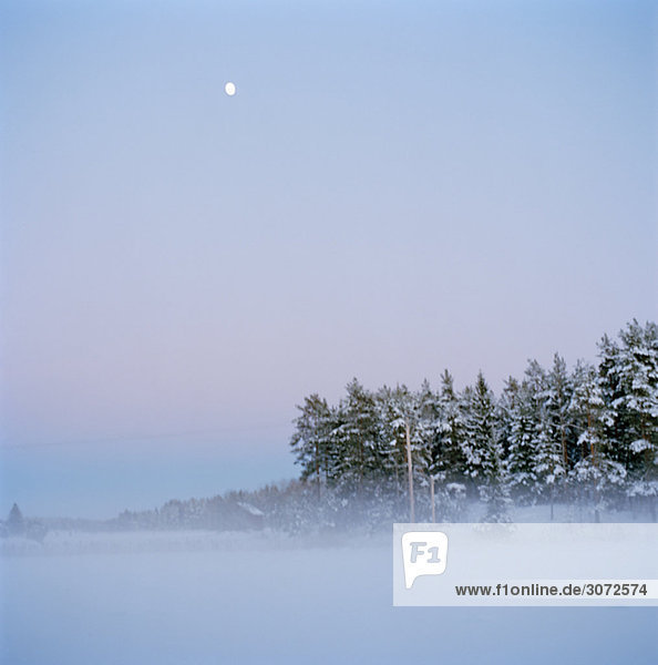 Snowstorm on the countryside Sweden