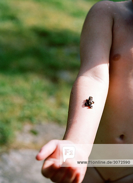 Ein Frosch auf einem Childs Arm Schweden zu Fuß