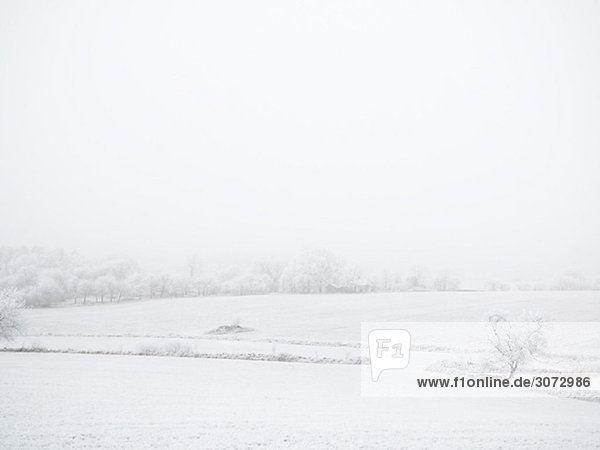 Winter lanscape Sweden