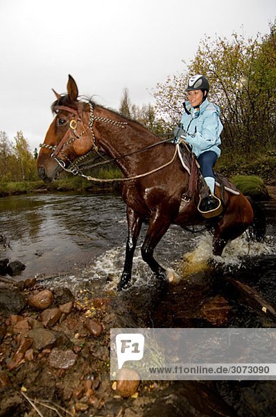 Horse and rider crossing brook Norrbotten Sweden.