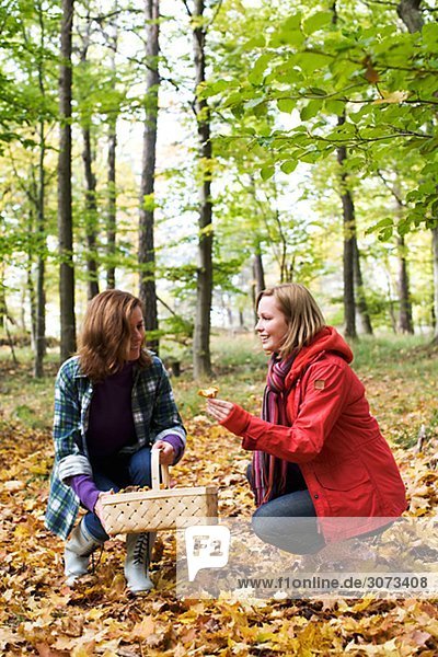 Mother and daughter picking mushrooms Sweden.