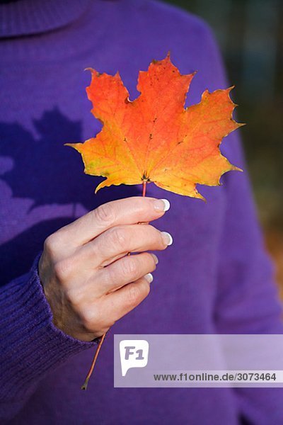 A woman holding an autumn leaf Sweden.