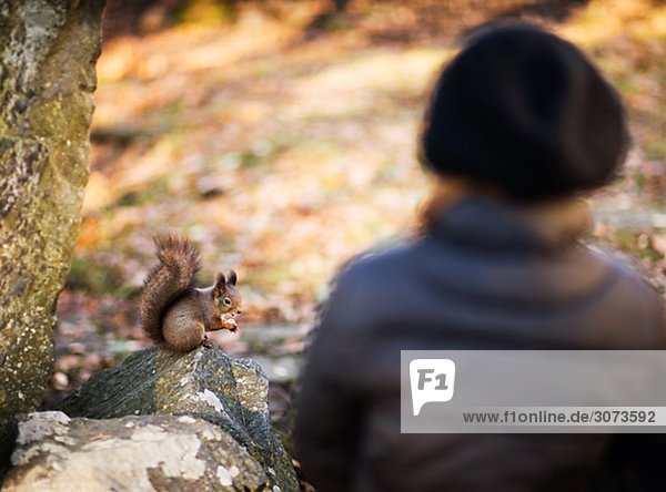 Girl looking at a squirrel Sweden.