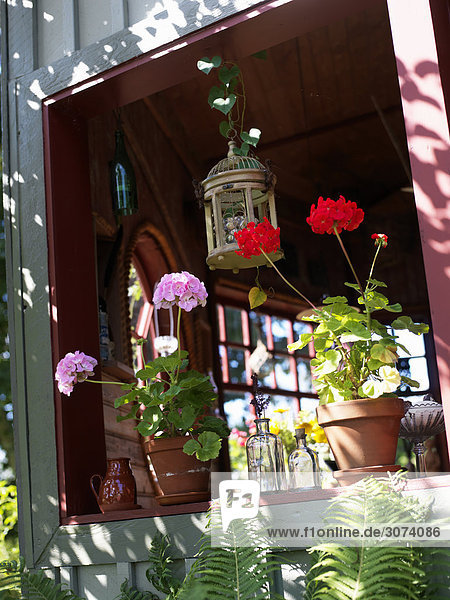 Fenster Blumentopf Schweden