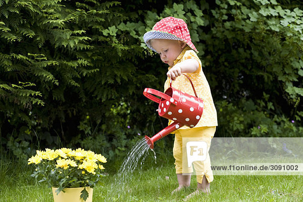 Ein Kleinkind  das Gänseblümchen gießt  im Freien