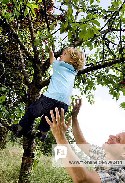 man helping son to climb tree
