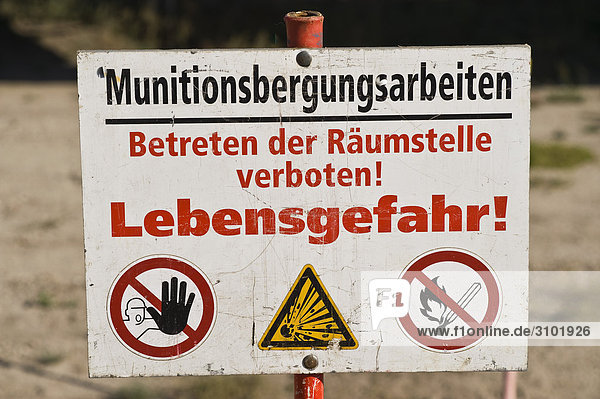 Munitionsbergung auf der Baustelle des größten Solarparks Deutschlands bei Lieberose  Spreewald  Brandenburg  Deutschland  Europa