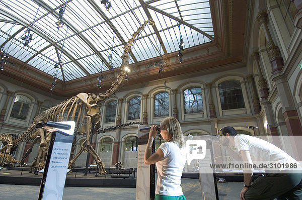 Naturkundemuseum Berlin  Kinder im Dinosauriersaal  Berlin  Deutschland