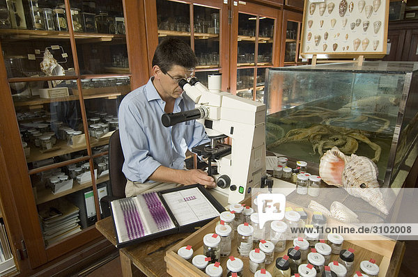 Naturkundemuseum  Matthias Glaubrecht  Forscher am Mikroskop. Berlin  Deutschland