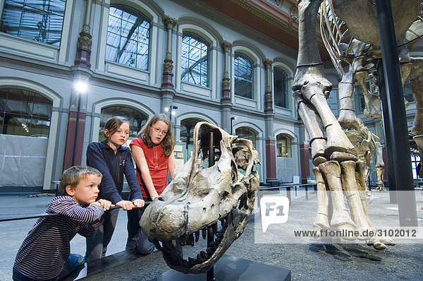 Naturkundemuseum Berlin  Kinder im Dinosauriersaal  Berlin  Deutschland