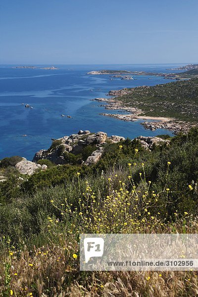 Panorama Insel Ansicht Sardinien Westküste