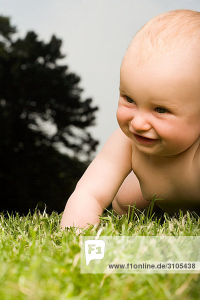 Baby krabbelt auf Gras