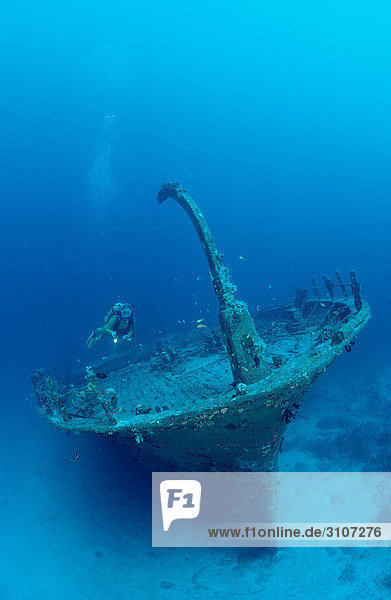 Shipwreck and scuba diver  Ari Atoll  Maldives  Indian Ocean