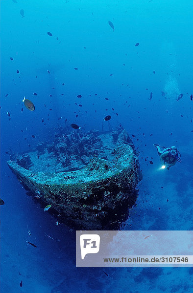 Unknown ship wreck and scuba diver  Papua New Guinea  Bismarck Sea