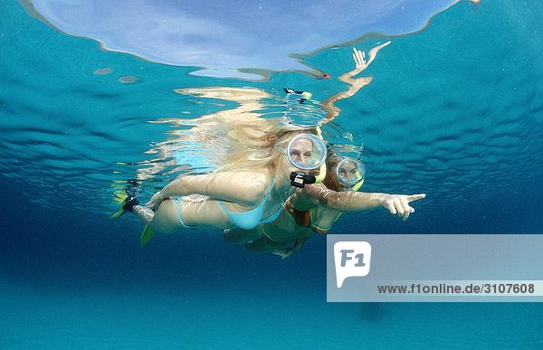 Two young woman snorkeling  Bali  Indian Ocean  underwater shot