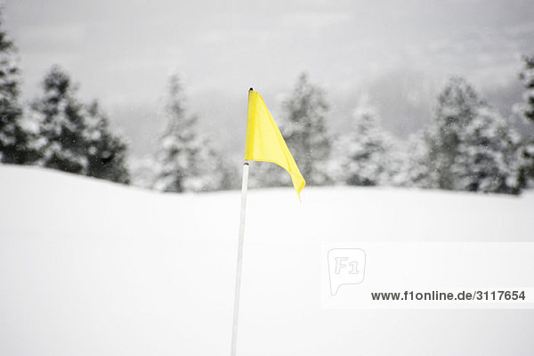 Gelbe Flagge auf schneebedecktem Golfplatz