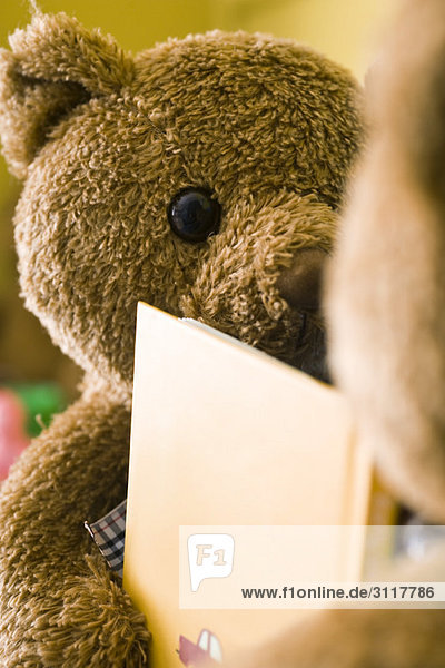 Teddybären von Angesicht zu Angesicht mit einem Buch dazwischen  beschnitten