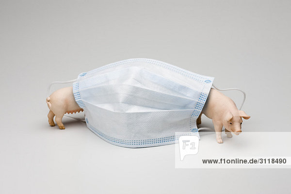 Schweinegrippekonzept  Grippemaske und Spielzeugschweine