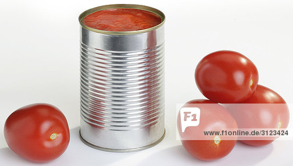 Tomaten in der Dose  Tomaten