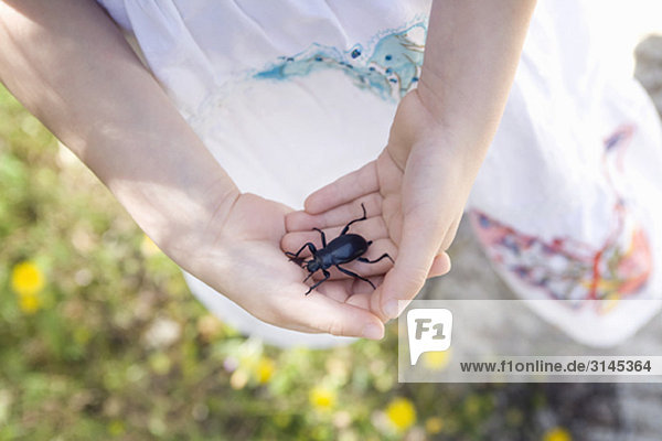 A young girl holding a beetle