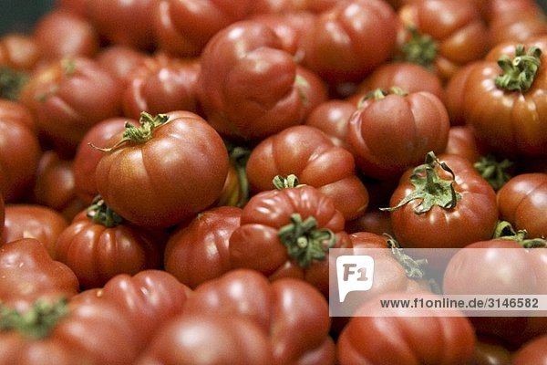 Oxheart tomatoes  full-frame