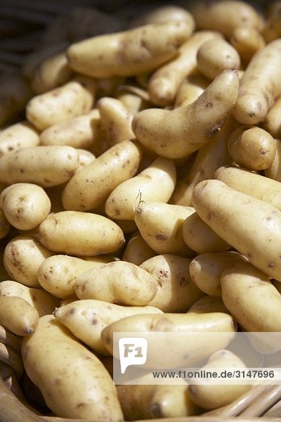 Kartoffeln (Kipfler) im Korb auf einem Markt