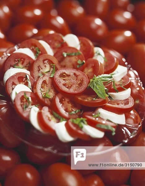 Platte mit Tomaten  Mozzarella und Basilikum auf Tomaten
