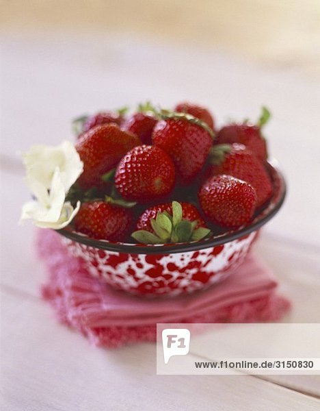 Mehrere frische Erdbeeren in Schale