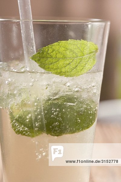 Mojito mit Limetten und Minze