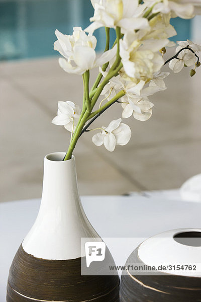 Weiße Blumen in Keramikvase