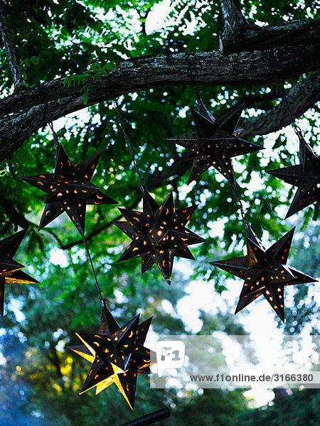 Stern-förmiger Laternen hängen in einem Baum  Südafrika.