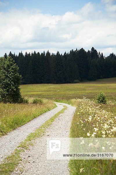 Eine beschotterte Straße zwischen grünen Feldern Schweden.