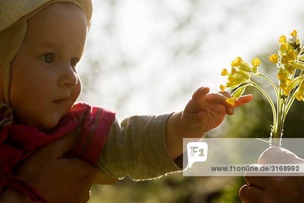 Ein Baby mit einer Blume Schweden.
