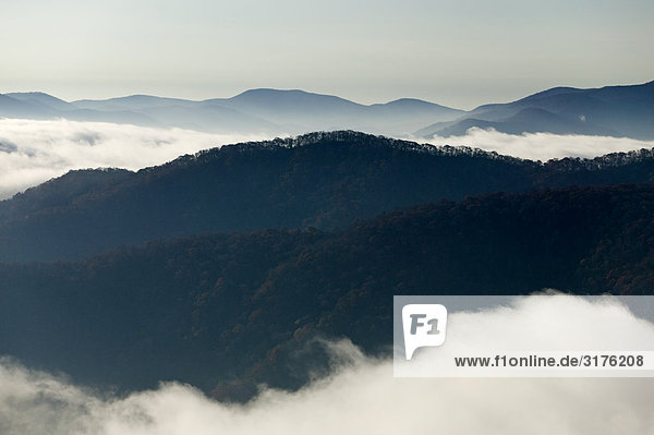 Berggipfeln und einem nebeligen Tal  Wayah Kahle  North Carolina  USA.